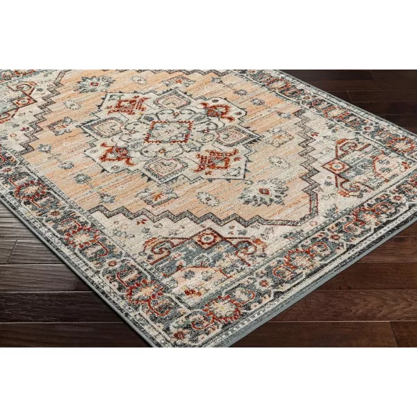 Redondo Beach Outdoor Boho Area Rug53 x 7SlateCoral9 x 12 PeachCream