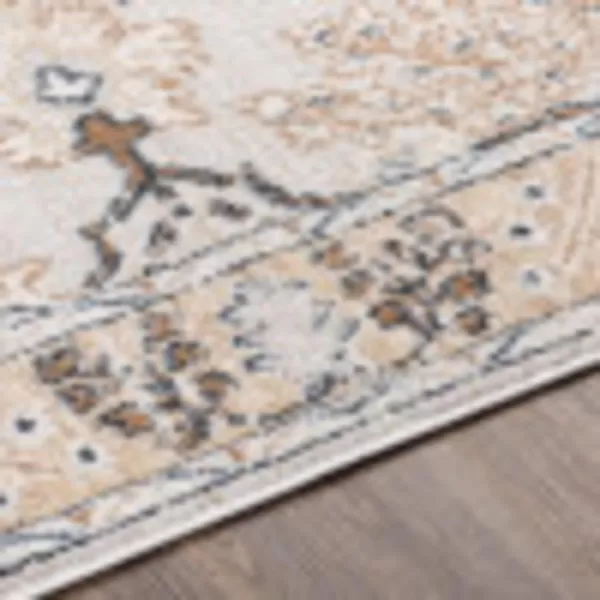 Saladin Traditional Classic Area Rug66 x 92 Light Gray