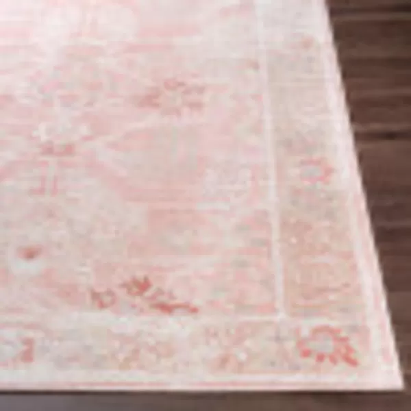 Saladin Traditional Classic Area Rug66 x 92 Rose