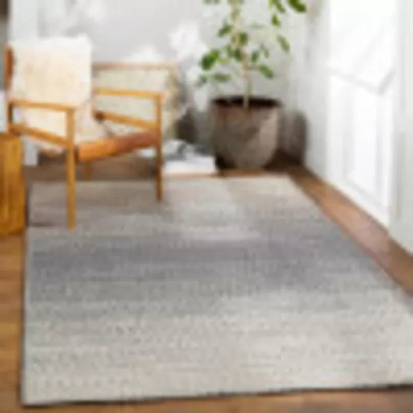 Artistic Weavers Abagtha Natural Fiber Woven Area Rug 8 x 10 Medium Gray5 x 76 Medium Gray