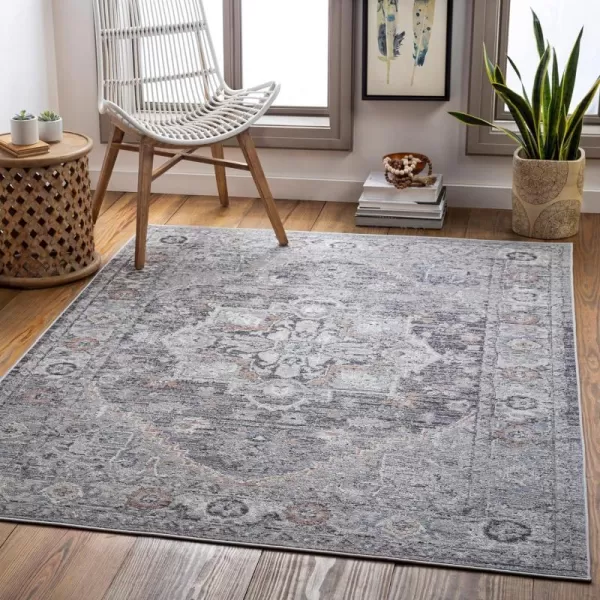 Artistic Weavers Daytona Beach Vintage Outdoor Area Rug53 x 7Gray53 x 7