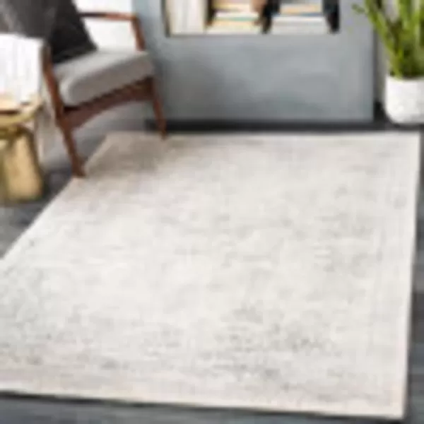 Light Grey 2' x 3' Area Rug