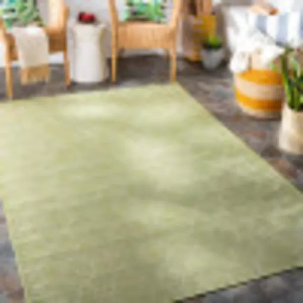 Artistic Weavers Lasma Outdoor Traditional Area Rug 51 x 7 Green51 x 7 Green