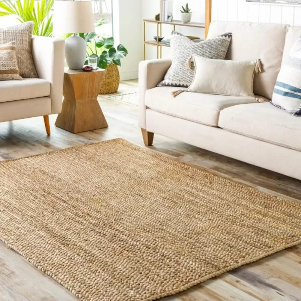 Artistic Weavers Loudon Braided Jute Area Rug5 x 76Tan36 x 56