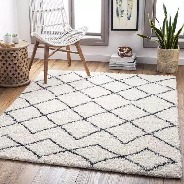 Artistic Weavers Moroccan Soft Brigid Shag Area Rug 53 x 7 CreamCharcoal53 x 7 CreamCharcoal