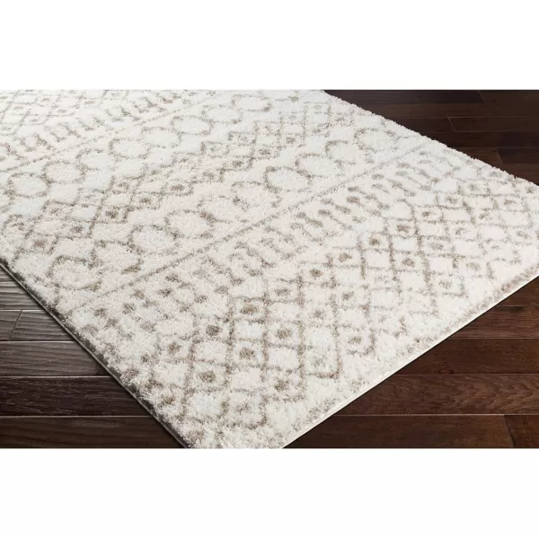 Livabliss Anita Bohemian Shag Area Rug53quot x 73quot CreamPale PinkBeige