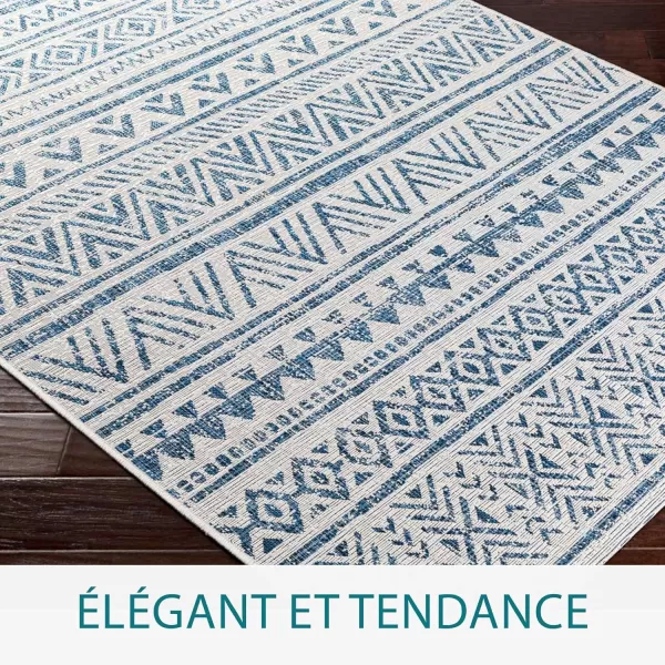 imageLivabliss Esperanza Outdoor Area Rug53quot x 77quotBlueWhite