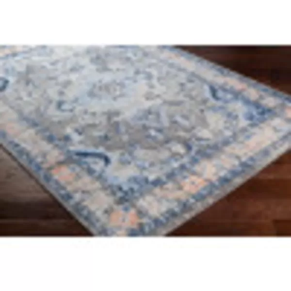 imageMartino Classic Medallion Area RugMedium GrayBlue