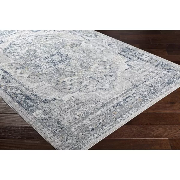 imageLivabliss Raii Vintage Textured Area Rug 53quot x 73quot TaupeNavyTaupeNavy