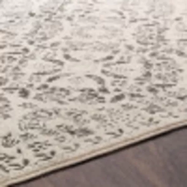 imageLivabliss Circe Vintage Area Rug53quot x 73quot Medium Gray53 x 73