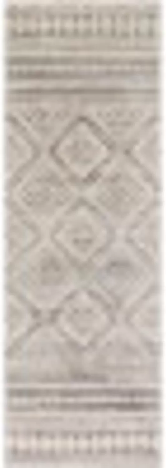 imageArtistic Weavers Tatiana Bohemian Moroccan Area Rug 2 ft x 3 ft Medium GrayMedium Gray