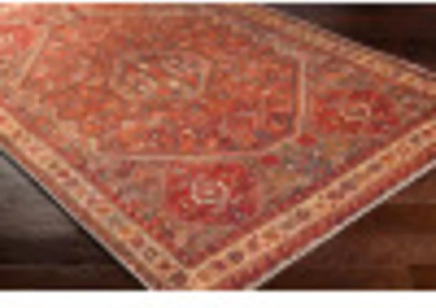 imageLivabliss Nico Vintage Medallion Washable Area Rug2 x 211quot Burnt Orange2 x 211