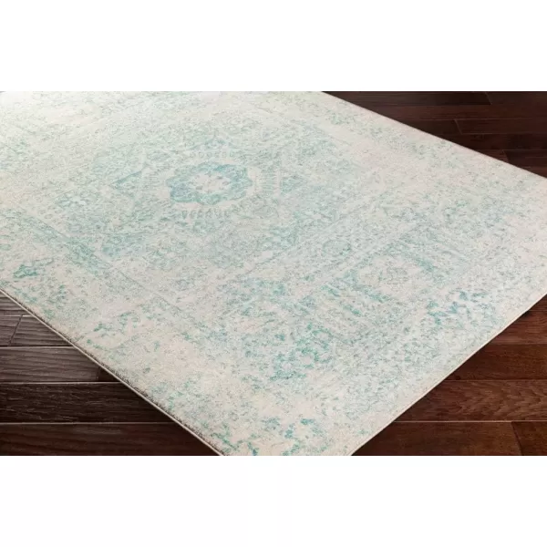 imageValeria Teal and Beige Updated Traditional Area Rug 2 x 3Light Teal