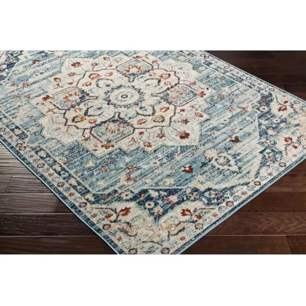 imageRedondo Beach Outdoor Boho Area Rug53quot x 7Light GreyBlueAquaCream