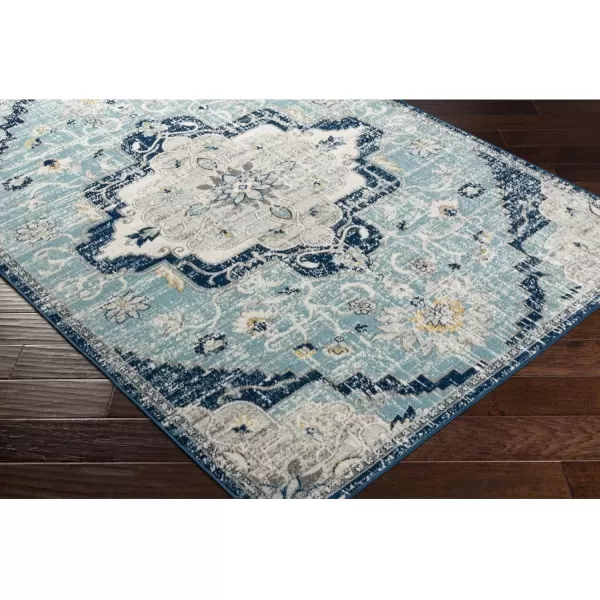 imageRedondo Beach Outdoor Boho Area Rug53quot x 7Light GreyBlueAquaGrey