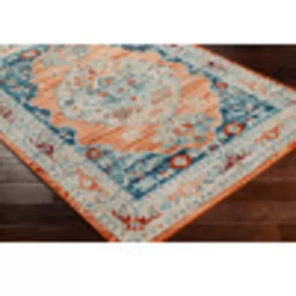 imageRedondo Beach Outdoor Boho Area Rug53quot x 7Light GreyBlueOrangeDark Blue