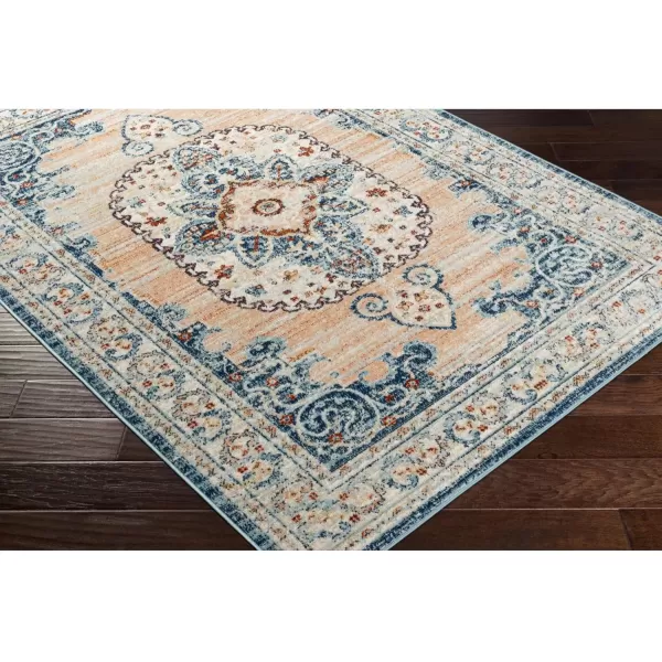 imageRedondo Beach Outdoor Boho Area Rug53quot x 7Light GreyBluePeachNavy