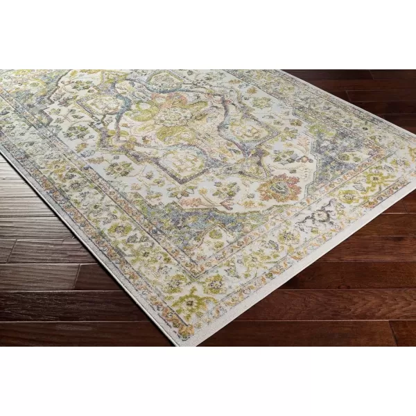 imageLivabliss Arae GreenLight Blue Area Rug 53quot x 73quotGreen  Light Blue