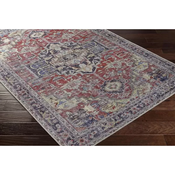 imageLivabliss Amelie Vintage Washable Area Rug53quot x 73quotRed67 x 9