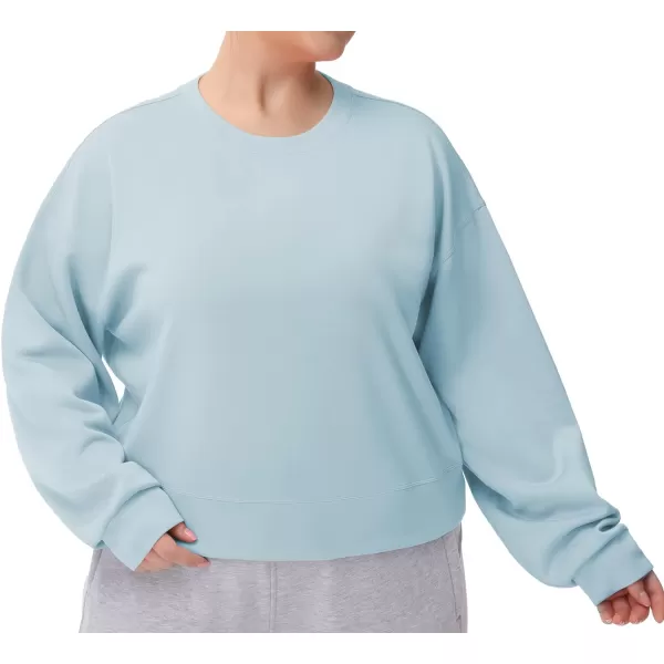 THE GYM PEOPLE Womens Crewneck Cropped Pullover Sweatshirt Cute Basic Long Sleeves Workout TopsLight Blue