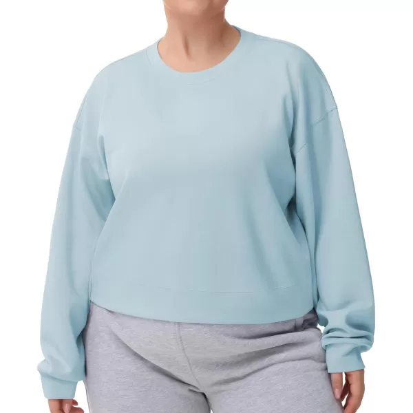 THE GYM PEOPLE Womens Crewneck Cropped Pullover Sweatshirt Cute Basic Long Sleeves Workout TopsLight Blue