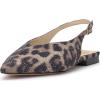 Safari Cloudy Leopard