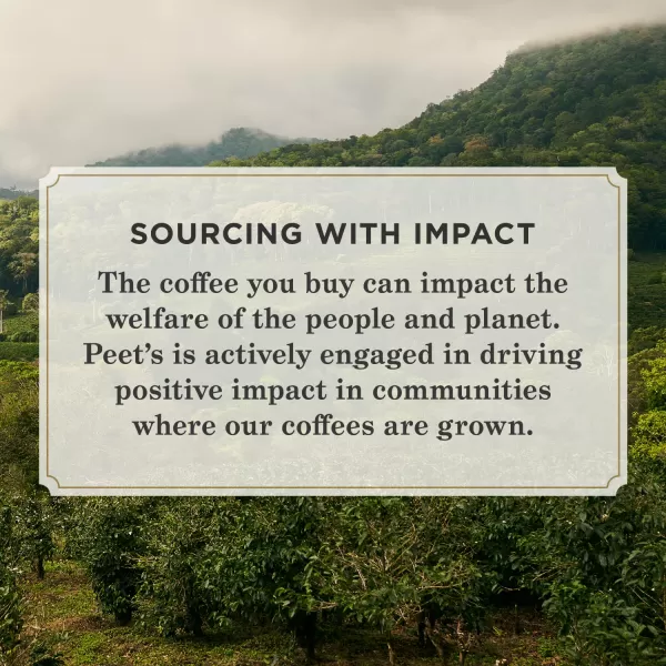 Peet's Coffee Flavored K-Cup Pods, Hazelnut Mocha  Single Serve Pods Compatible with Keurig Brewers
