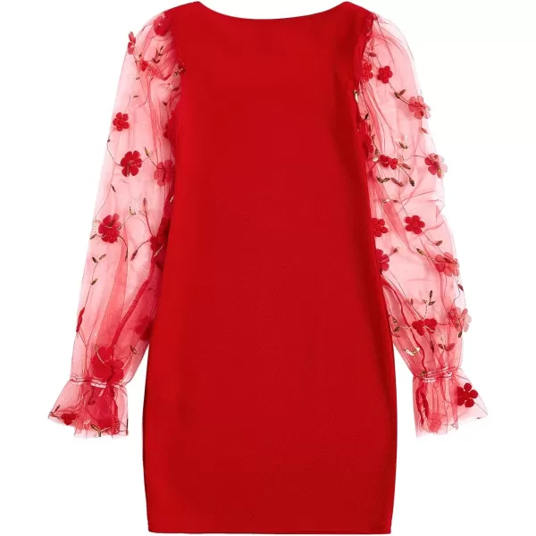 WDIRARA Girl's Sheer Mesh Flounce Long Sleeve Appliques Square Neck Dress