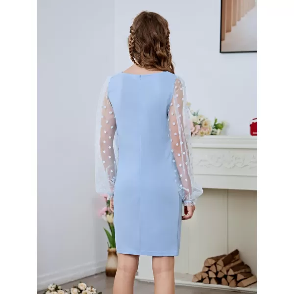 WDIRARA Girl's Sheer Mesh Flounce Long Sleeve Appliques Square Neck Dress