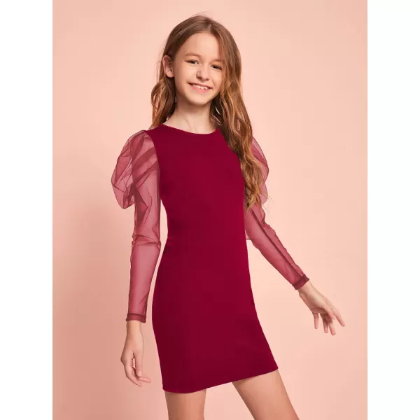 WDIRARA Girl's Sheer Mesh Puff Long Sleeve Round Neck Bodycon Mini Dress