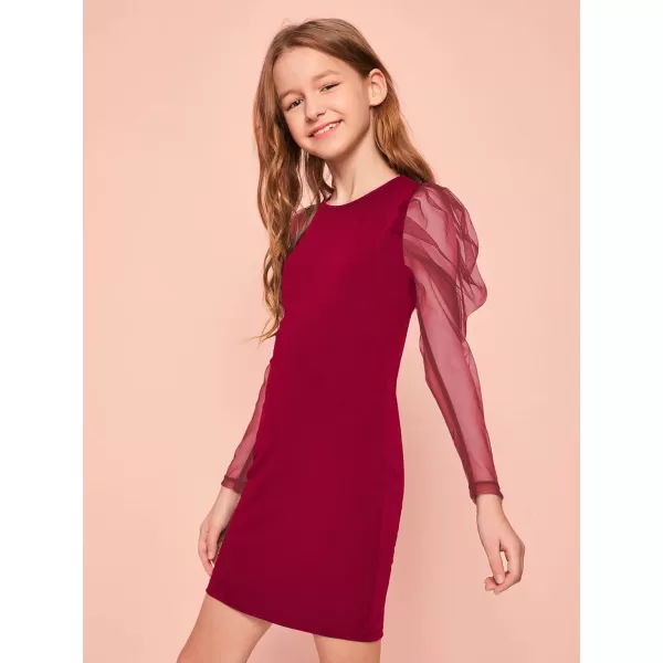 WDIRARA Girl's Sheer Mesh Puff Long Sleeve Round Neck Bodycon Mini Dress