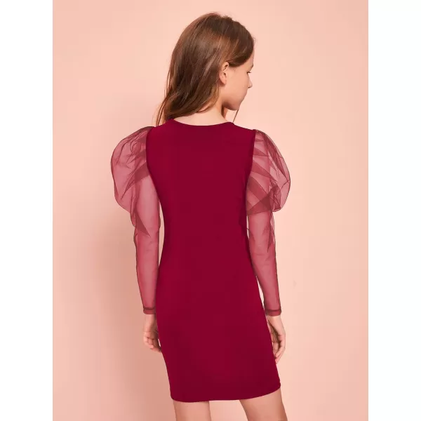 WDIRARA Girl's Sheer Mesh Puff Long Sleeve Round Neck Bodycon Mini Dress