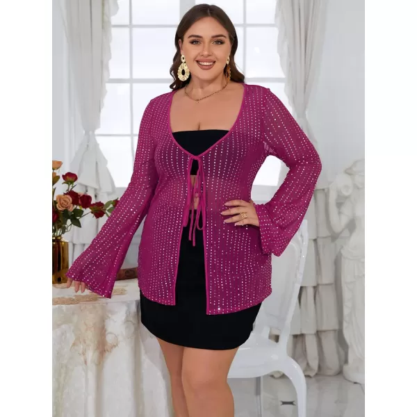 WDIRARA Women's Plus Size Deep V Neck Tie Front Flounce Long Sleeve Sequin Mesh Party Top