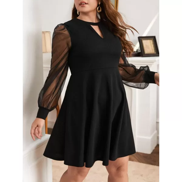 WDIRARA Women's Plus Size Sheer Mesh Long Sleeve A Line Flared Elegant Mini Dress