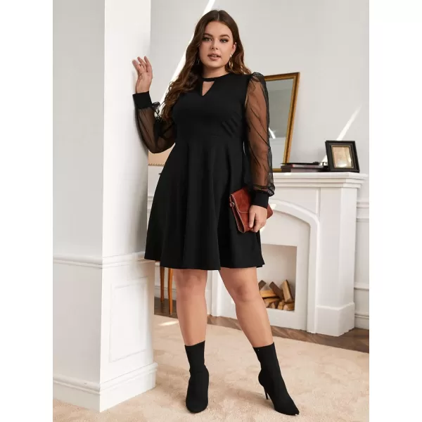 WDIRARA Women's Plus Size Sheer Mesh Long Sleeve A Line Flared Elegant Mini Dress