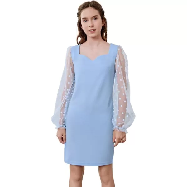 WDIRARA Girl's Sheer Mesh Flounce Long Sleeve Appliques Square Neck Dress