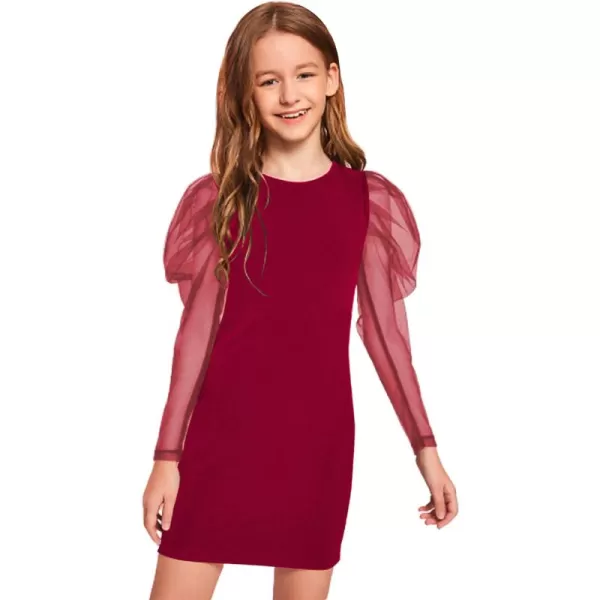 WDIRARA Girl's Sheer Mesh Puff Long Sleeve Round Neck Bodycon Mini Dress