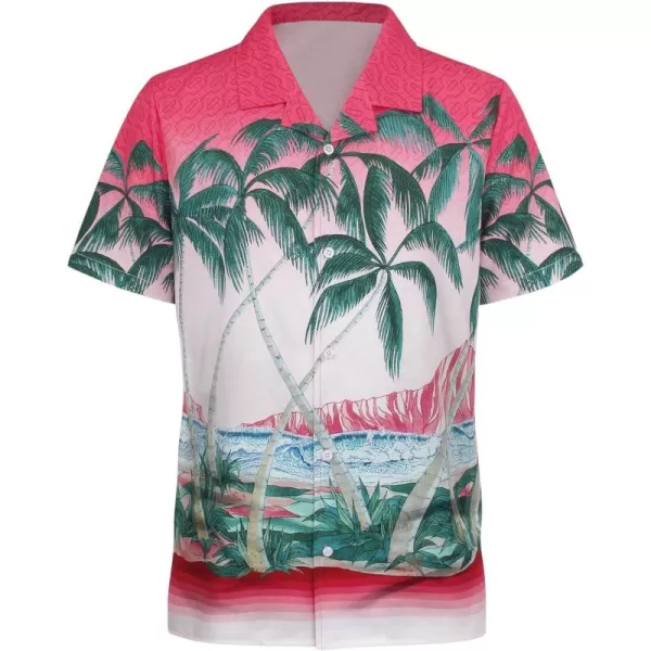 WDIRARA Men's Button Up Short Sleeve Cat Print Beachwear Striped Pocket Hawaiian Shirt Casual Collar Top