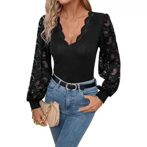 WDIRARA Women's Floral Embroidery Mesh Lace Round Neck Long Sleeve Top