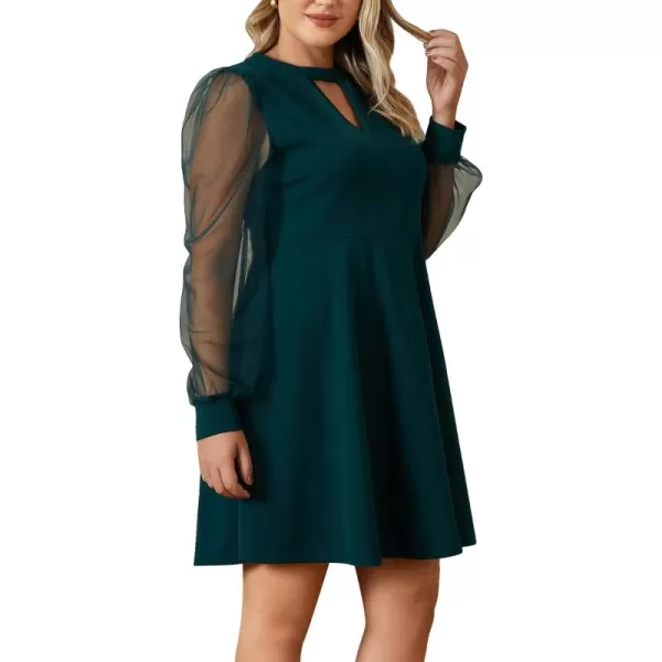 WDIRARA Women's Plus Size Sheer Mesh Long Sleeve A Line Flared Elegant Mini Dress