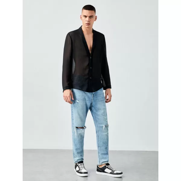 WDIRARA Men's Mesh Sheer V Neck Long Sleeve Button Up Shirts Paty Tee Top