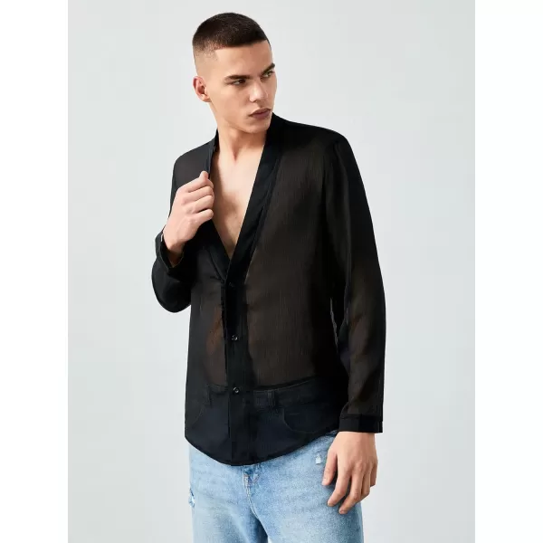 WDIRARA Men's Mesh Sheer V Neck Long Sleeve Button Up Shirts Paty Tee Top