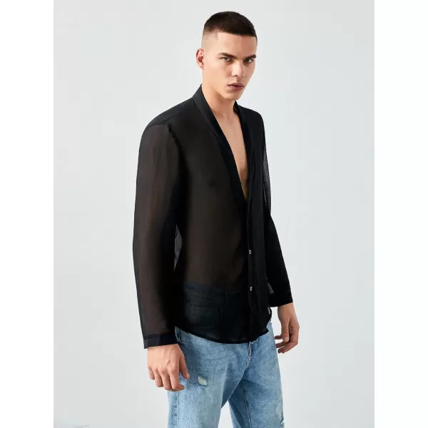 WDIRARA Men's Mesh Sheer V Neck Long Sleeve Button Up Shirts Paty Tee Top