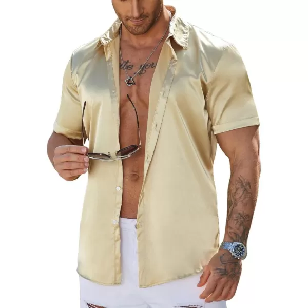 WDIRARA Men's Button Front Short Sleeve Shirt Party Collar Top
